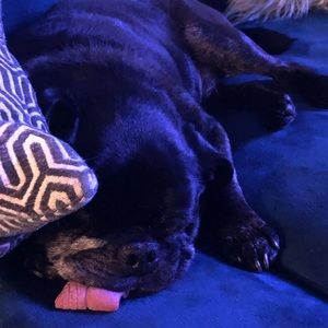 Meet your Posher, Terri